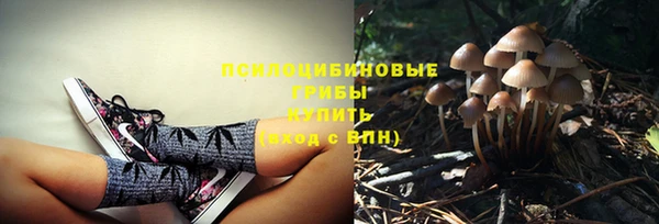 не бодяженный Магадан