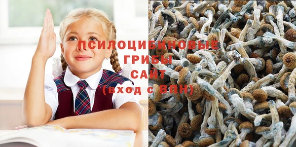мяу мяу кристалл Магас