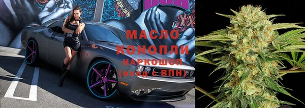 стаф Майский