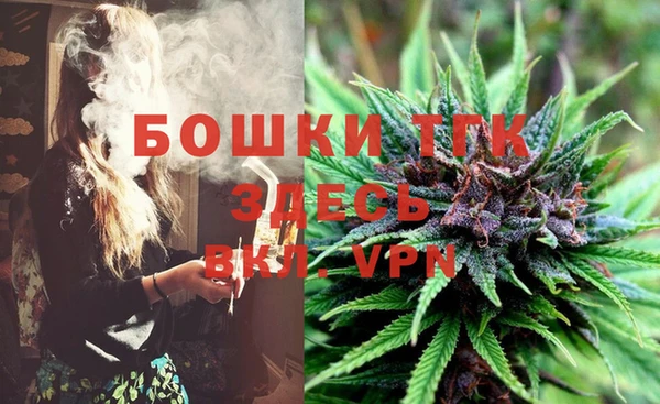 стаф Майский